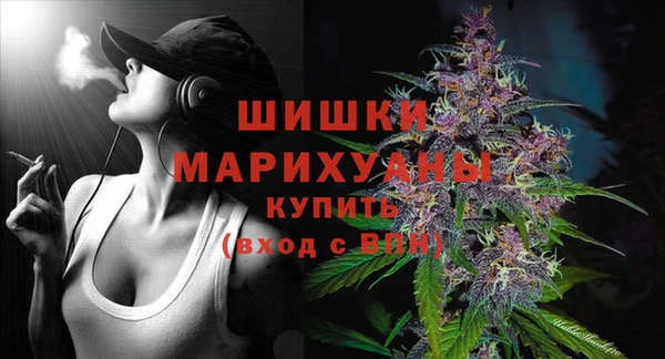 МДПВ Богородицк